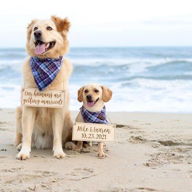 Dog Save the Date Sign, Personalized, Save the Date Photo Prop